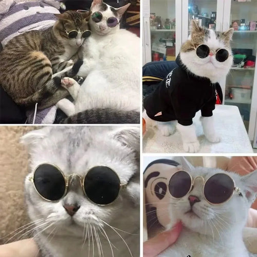Gafas Cute Vintage Pet